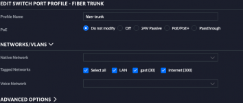 profiles-switch ports-fiber-trunk.png