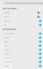 Zyxel network setting Advanced 1.webp