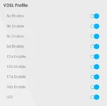 Zyxel network setting Advanced 2.webp
